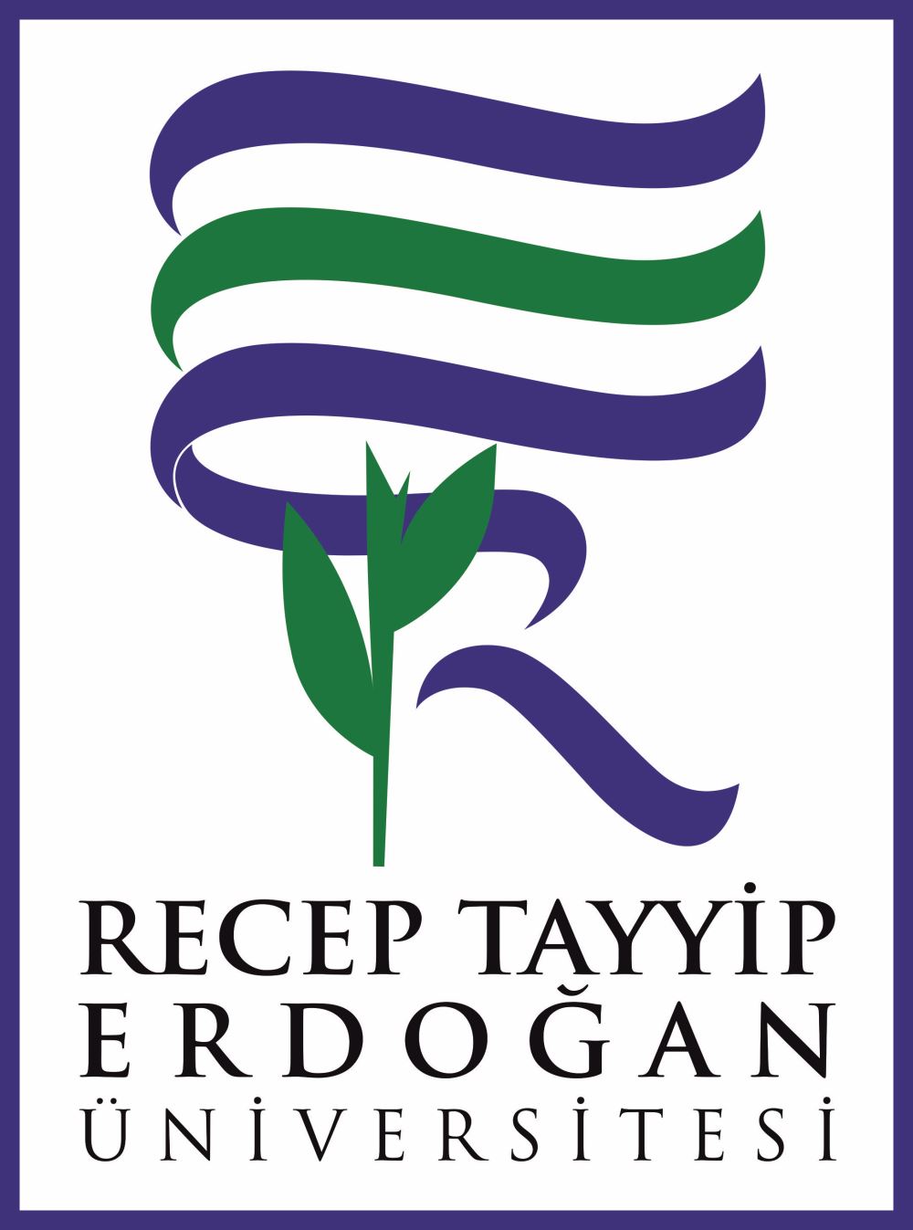 Recep Tayyip Erdogan University